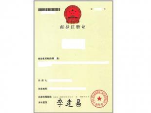 商标转让流程与温州益乐知识产权代理服务解析